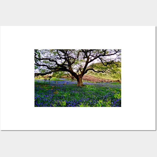 THE BLUEBELL CANOPY Wall Art by dumbodancer